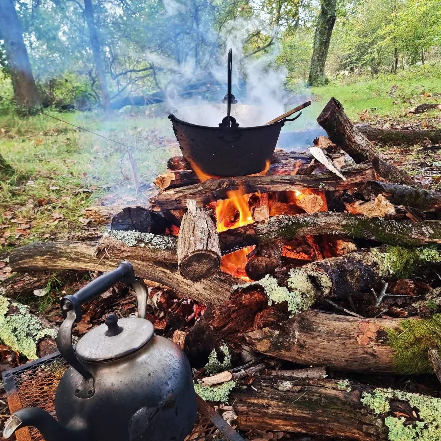 Campfire Cooking